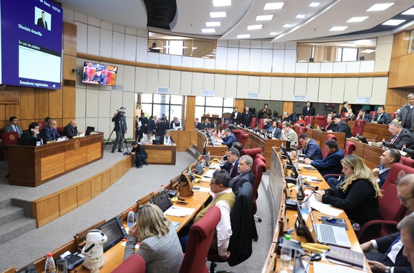Proyecto de rendición de cuentas de ONG'S aprobado en general por el Senado - trece
