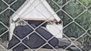 Vecinos se pegaron un susto por quejidos en nicho de mujer que fue descuartizada