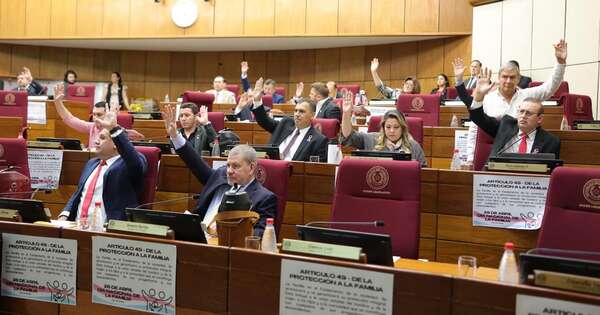 La Nación / Senado otorga media sanción a Ley de Transparencia de las Oenegés