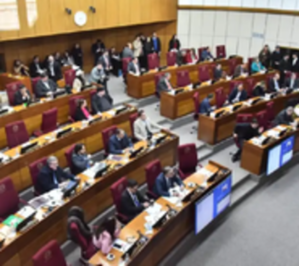 Senadores aprueban media sanción a Ley de control de ONGs - Paraguay.com
