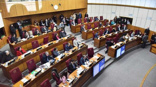Senado: Aplanadora colorada da media sanción a ley de control a las oenegés