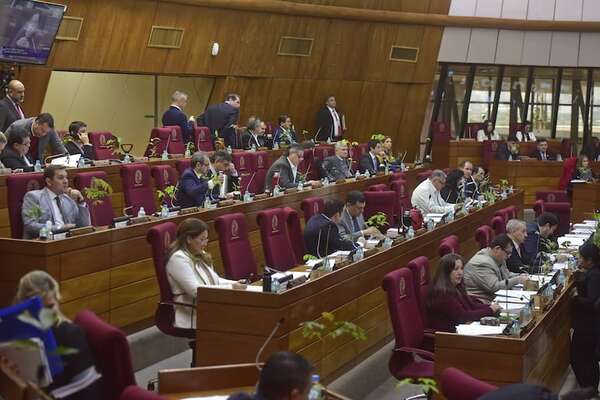 Control a las ONG: diputados liberales piden debate amplio del proyecto - Política - ABC Color