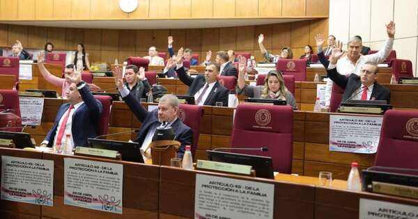La Nación / Senado otorga media sanción a ley de transparencia de oenegés