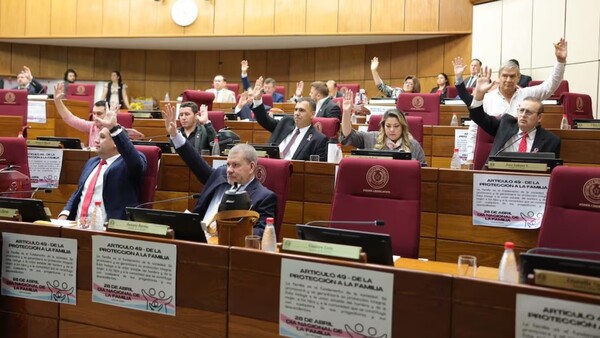 Desde historias gays hasta doñas tóxicas en el debate sobre las ONGs en el Congreso