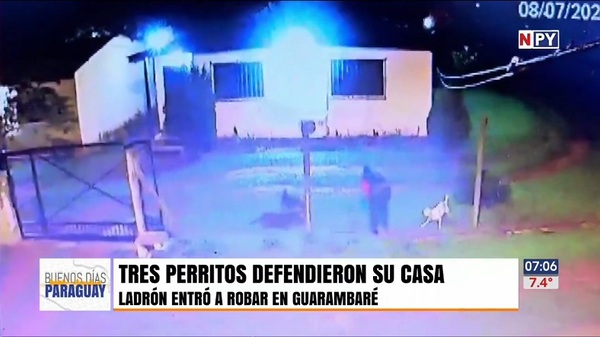 Quiso entrar a robar pero fue espantado por los perros de la casa - Noticias Paraguay