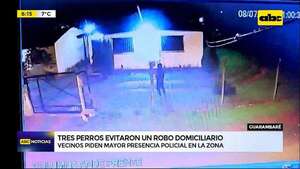 Video: Tres perros evitaron un robo domiciliario   - ABC Noticias - ABC Color