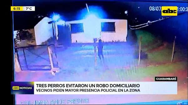 Video: Tres perros evitaron un robo domiciliario - ABC Noticias - ABC Color