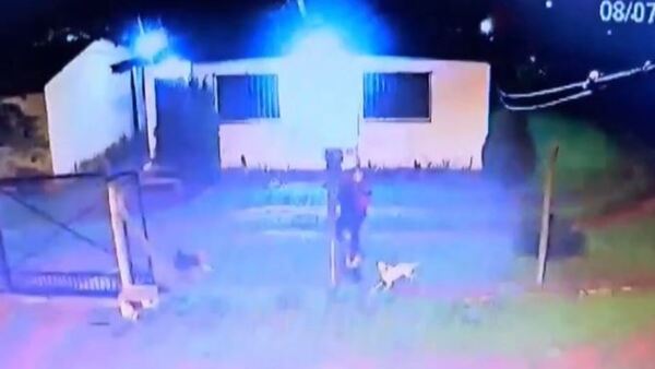 Tres perros hicieron correr a un ladrón