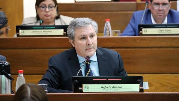 Filizzola califica de “garrote” ley sobre control a oenegés y alega ser una “copia” de Rusia