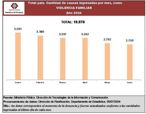 Primer semestre de 2024 cerró con casi 19.000 denuncias por violencia familiar