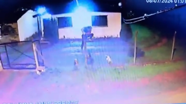 TRES PERROS EVITAN QUE UN DELINCUENTE INGRESE A SU HOGAR