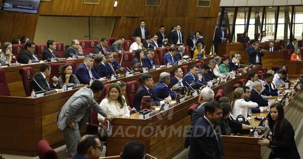 La Nación / Control a oenegés suma en Diputados voces a favor, pero se plantea “pulir” proyecto