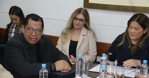 La Nación / Adultos mayores: pedirán al Congreso USD 100 millones para aumentar franja de subsidiados