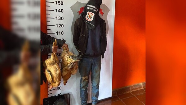 Se suspende el vori vori: Robó cuatro gallinas y una placa eléctrica