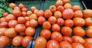 La Nación / Lento avance entre el MAG y Capasu para evitar “intermediación” en la venta de tomate