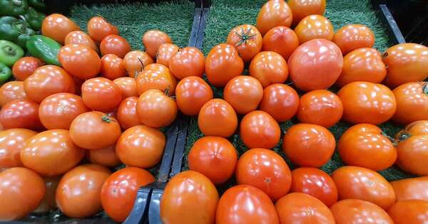 La Nación / Lento avance entre el MAG y Capasu para evitar “intermediación” en la venta de tomate