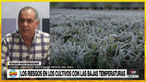 MAG insta a tomar recaudos para proteger cultivos de las heladas - Megacadena - Diario Digital