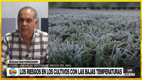 MAG insta a tomar recaudos para proteger cultivos de las heladas - Megacadena - Diario Digital