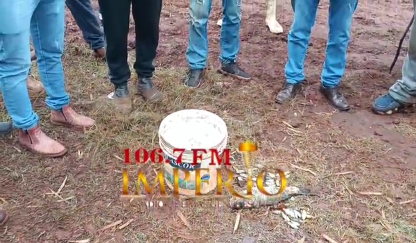 Vecinos denuncian contaminación de arroyo y mortandad de peces ocasionados por chanchería - Radio Imperio 106.7 FM