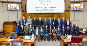 La Nación / Delegación argentina analiza nuevas alianzas estratégicas con senadores nacionales