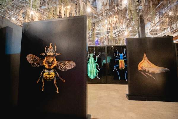 El Museo de Ciencias invita a dejar volar el ingenio en vacaciones - Cultura - ABC Color