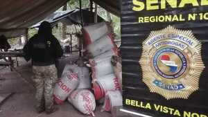 Bella Vista Norte: Destruyen más de 2 toneladas de marihuana en campamento narco