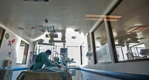 Fallece mujer que recibió riñón de un cerdo tres meses después del trasplante