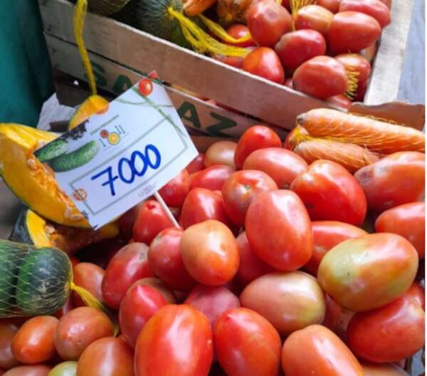 MAG lamenta que precio del tomate siga alto en los “súpers” - Economía - ABC Color
