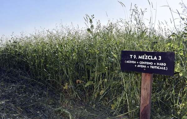 Ventajas del uso de mix de abonos verdes para los suelos - Economía - ABC Color