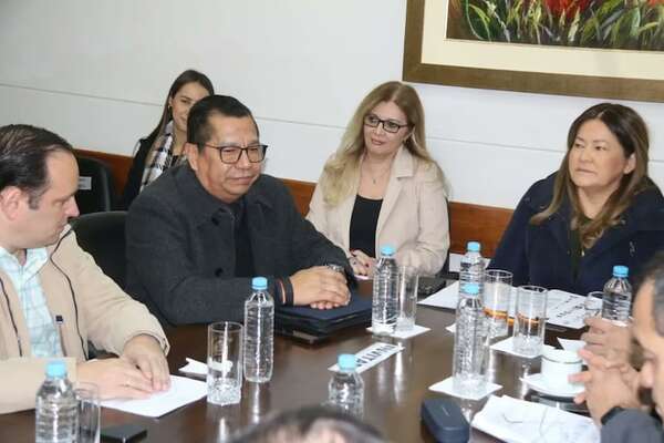 IPS y Tadeo Rojas piden manejar cifras siderales - Política - ABC Color