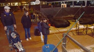 División entre ARP y UIP se debe al precio de la carne, afirma MAG