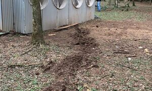 ANDE interviene conexión irregular de suministro dedicado a la criptominería en Hernandarias, Alto Paraná