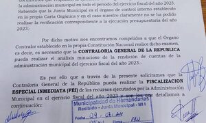 Concejales piden por unanimidad que Contraloría audite cuentas de Nelson Cano en Hernandarias – Diario TNPRESS