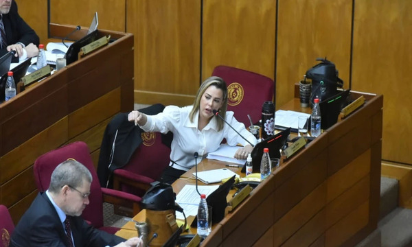 Activistas por parte de senadores SPP expresa preocupación por ataques a periodistas - OviedoPress