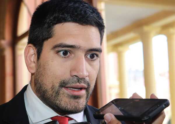 Mauricio Espínola sostuvo que ley de control a ONGs dará al Estado un poder sancionador muy discrecional - Megacadena - Diario Digital