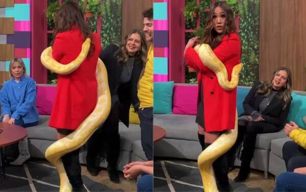 [VIDEO] ¡Mamachita santa! Una feroz kuriju se le enredó toda a Yolanda Park