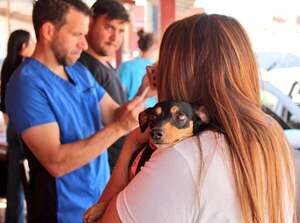 ¡Sin miedo, perritos! Vacunación gratis en barrio Manorá  - Mascotas - ABC Color