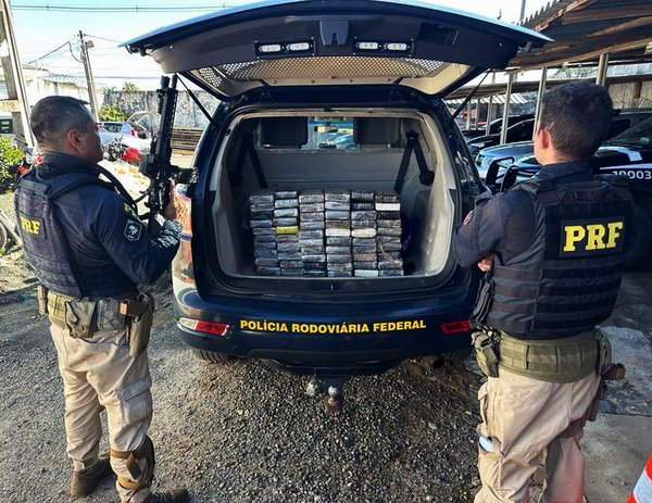 Aumento récord en incautación de marihuana paraguaya en Paraná - La Clave