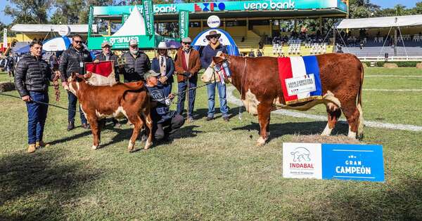 La Nación / Expo Ganadera 2024 tuvo a sus primeros campeones