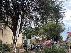 Reserva Activa despeja de masa verde el Hospital Regional de Encarnación - Nacionales - ABC Color