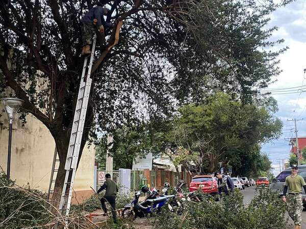 Reserva Activa despeja de masa verde el Hospital Regional de Encarnación - Nacionales - ABC Color