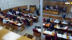 Video: senadores casi llegan a los golpes en plena sesión - Política - ABC Color