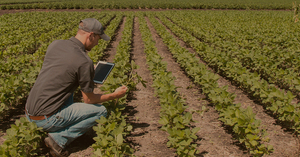 Espa帽a participa en el mayor proyecto europeo de IA y rob贸tica del sector agroalimentario - Revista PLUS