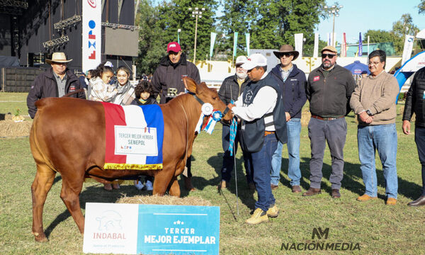 ¡El rey del ganado! “Tacuara” ligó un premiazo en la Expo