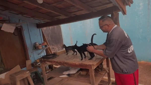 Carpintero rescata a animales de la calle y les da un hogar - Noticias Paraguay