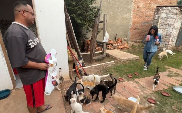 Carpintero de Concepción rescata y cuida animales abandonados