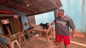 Carpintero de Concepción rescata y cuida animales abandonados - Noticiero Paraguay