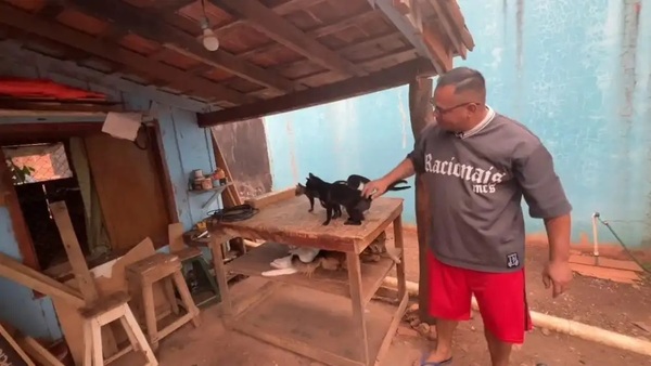 Carpintero de Concepción rescata y cuida animales abandonados - Noticiero Paraguay