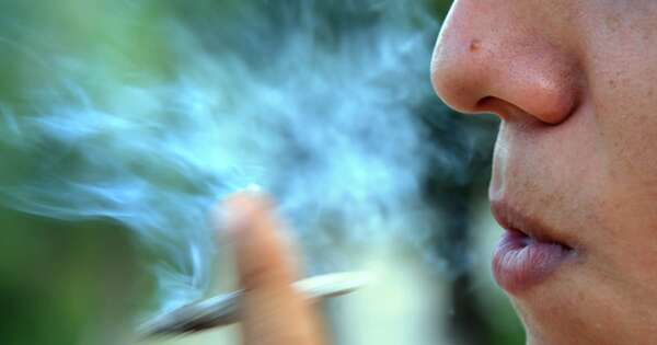 La Nación / Presión social y redes sociales, principales motivos de los jóvenes para consumir cannabis