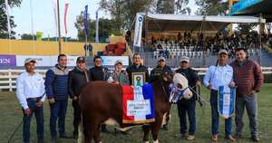 La Nación / Ganadera Las Pampas logró una gran campeona en la raza braford